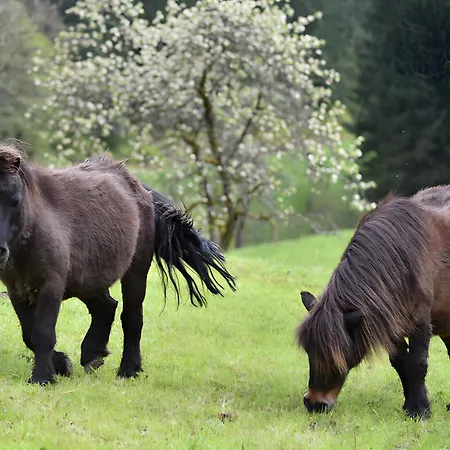 Muellerjoergenhof شقة *