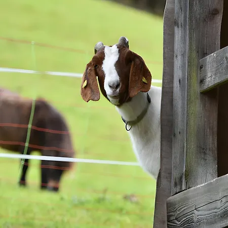 شقة Muellerjoergenhof