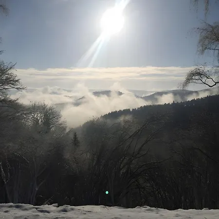 Muellerjoergenhof *