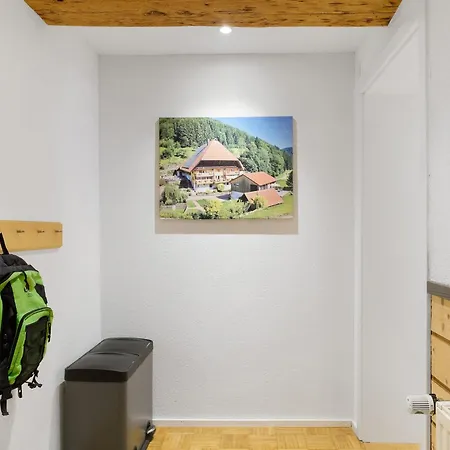 Apartament Muellerjoergenhof Gutach